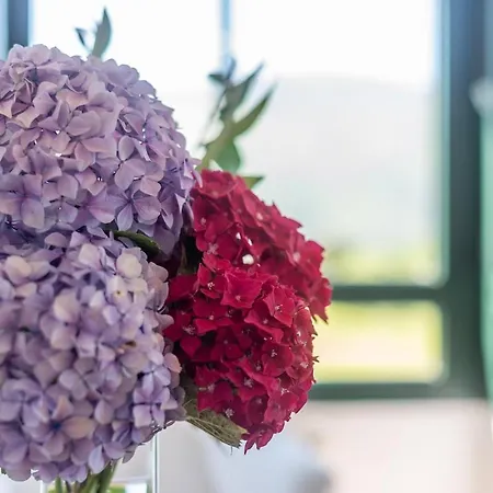 Vistas Increibles A 7 Min A Pie Del Centro Lejlighed *