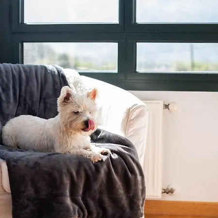 Lejlighed Vistas Increibles A 7 Min A Pie Del Centro Llanes