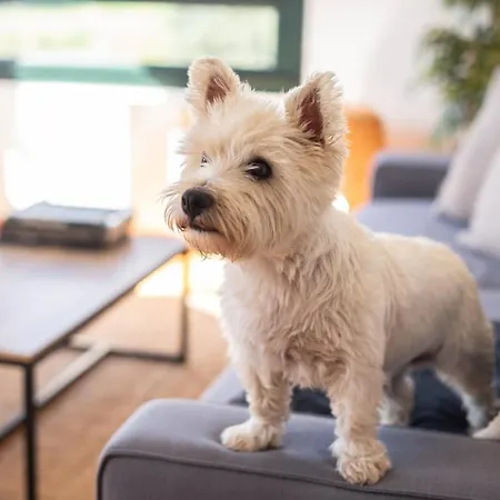 Vistas Increibles A 7 Min A Pie Del Centro