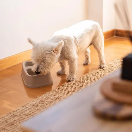 Con Vistas Espectaculares En Llanes, A 8 Min A Pie Del Centro